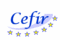 Logo Cefir