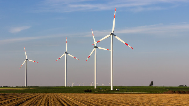 Windräder auf einem Feld, dahinter blauer Himmel