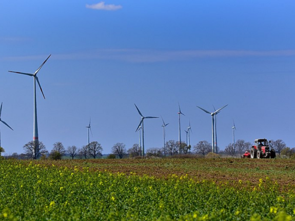 Blick auf ein Feld, am Horizont stehen mehrere Windräder. 