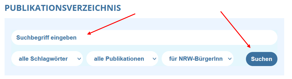 Screenshot von der Suchmaske des Publikationsverzeichnisses